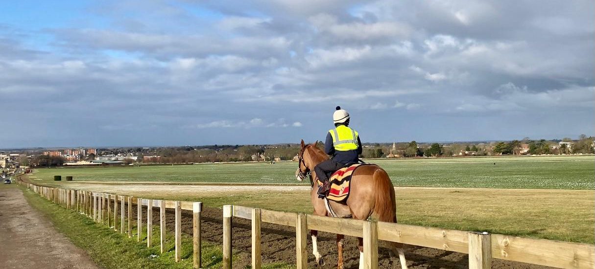 Balgair Prepares for the Season Ahead