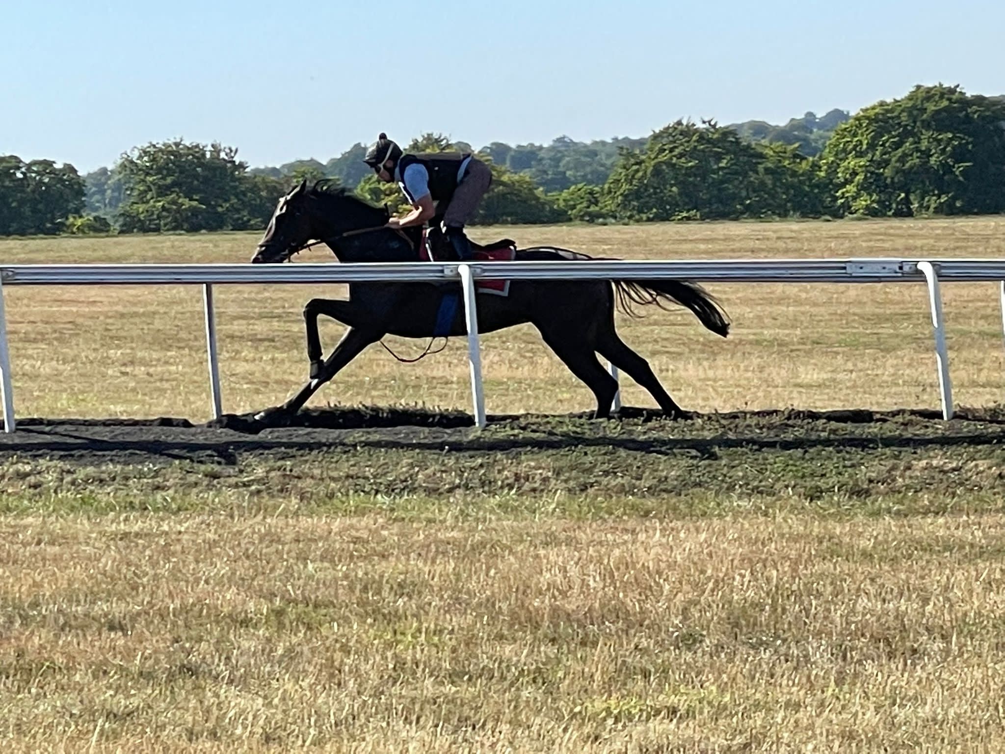 A beautiful morning for a stable visit with Chris Wall - Newmarket ...