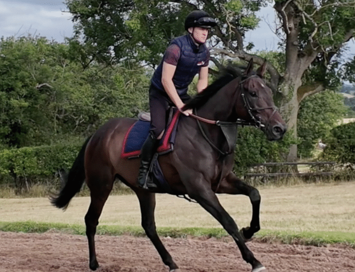 Saachi Declared – Ffos Las, Friday 22 August