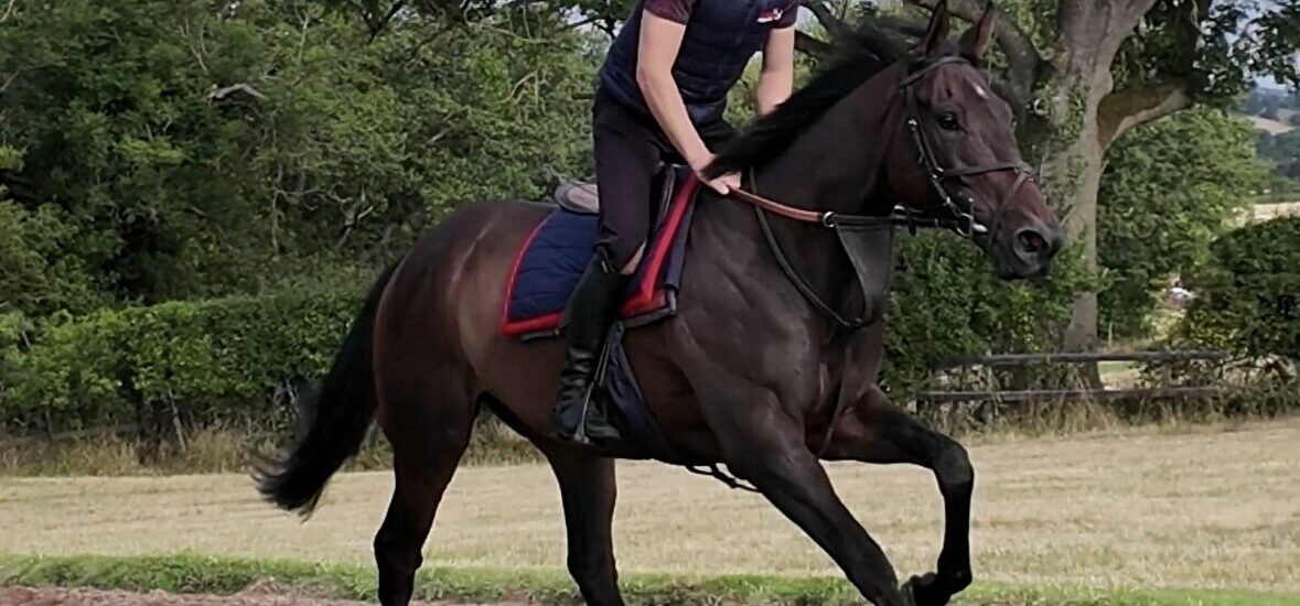 Saachi Declared – Huntingdon, Sunday 2 November